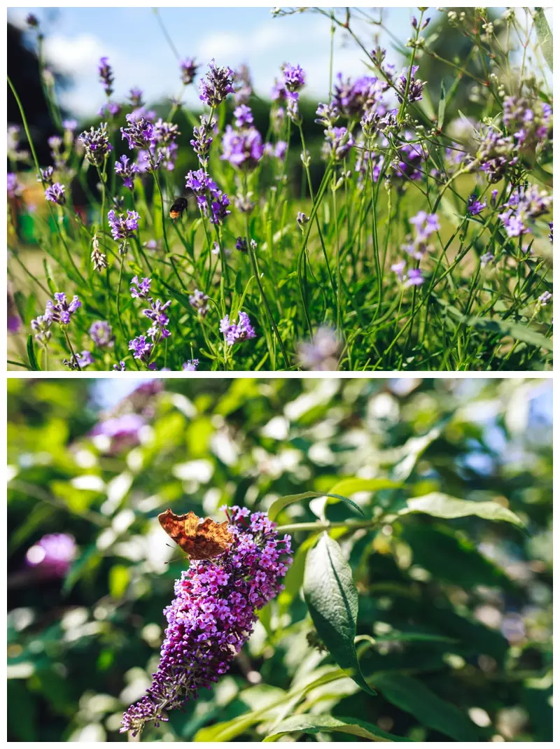 A North Norfolk Farm Wedding, by Norfolk Photographer Jamie Groom_0019